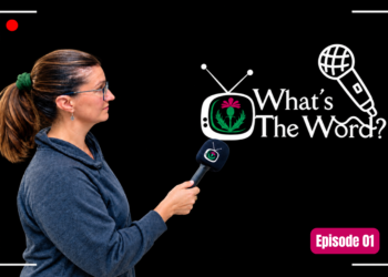 What’s the Word – Episode 01